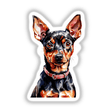 Close-up of a Miniature Pinscher dog's face, featured in Decal Venue's Miniature Pinscher Dog Watercolor Clipart & Stickers – Commercial Rights collection.