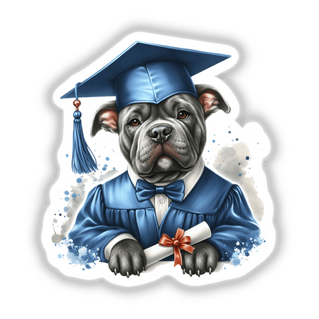 Pitbull Dog Graduate Portrait