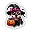 Halloween Trick or Treat Pitbull Bully Dog wearing a hat and sunglasses, holding a pumpkin. Available as stickers or digital artwork.