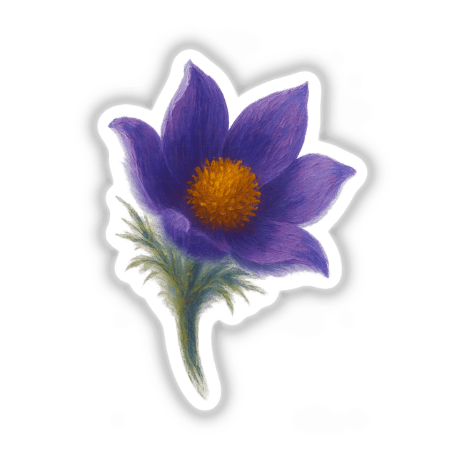 South Dakota State Flower Sticker or Clipart featuring a detailed Pasque Flower Design, perfect for commercial use as unique vinyl stickers or digital artwork from Decal Venue.