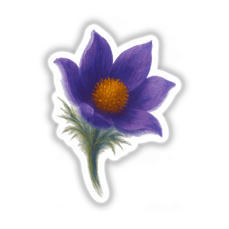South Dakota State Flower Sticker or Clipart featuring a detailed Pasque Flower Design, perfect for commercial use as unique vinyl stickers or digital artwork from Decal Venue.