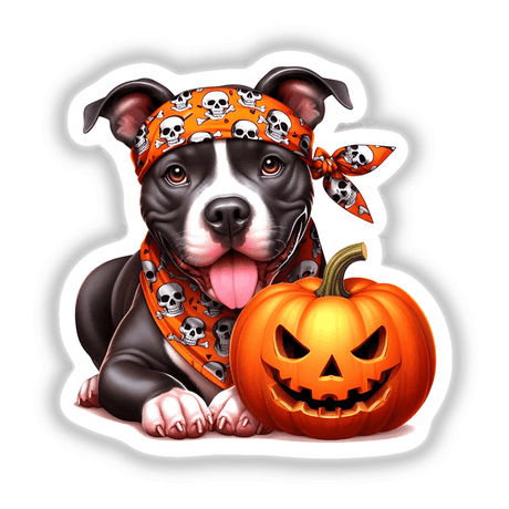 Halloween Pitbull with Skull Bandana and Carved Pumpkin