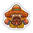 Cinco de Mayo Pug