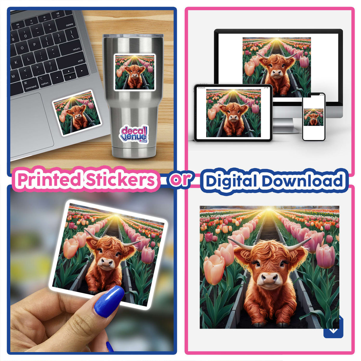 Highland Cow Tulip Garden