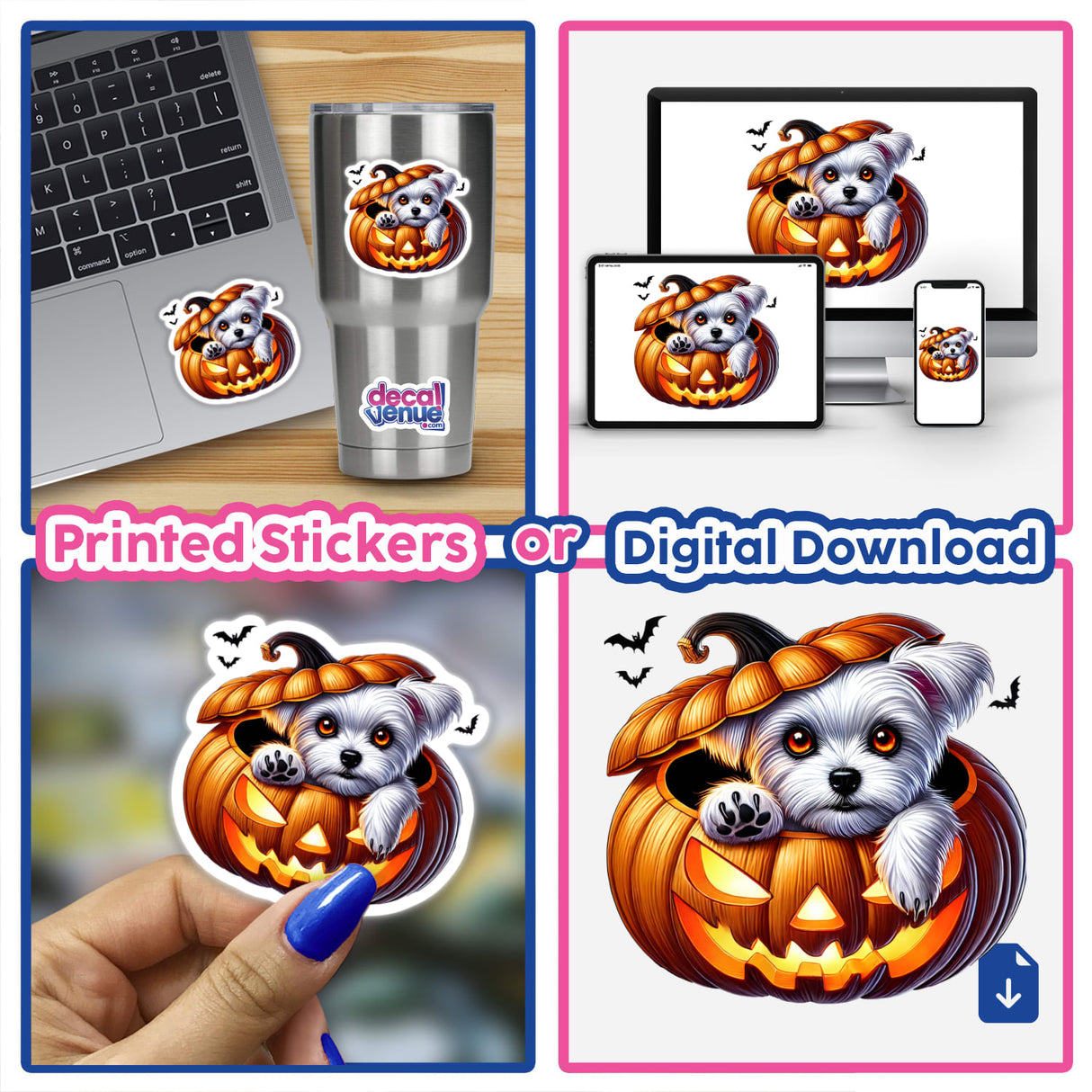 Adorable Maltese puppy peeking out of carved pumpkin for Halloween, featured on various digital and printed products from the Decal Venue store.