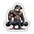 Gym Rat Pitbull Dog