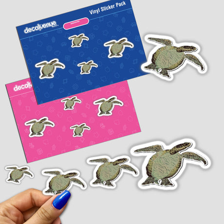 Sea turtle sticker pack featuring various cartoon-style turtles, available as stickers or digital artwork. Perfect for adding a unique touch to personal items or digital collections.