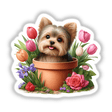 Yorkie Dog Peeking Out of Flower Pot