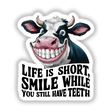 Amusing cow digital artwork with a motivational message: "Life is Short, Smile While You Still Have Teeth"