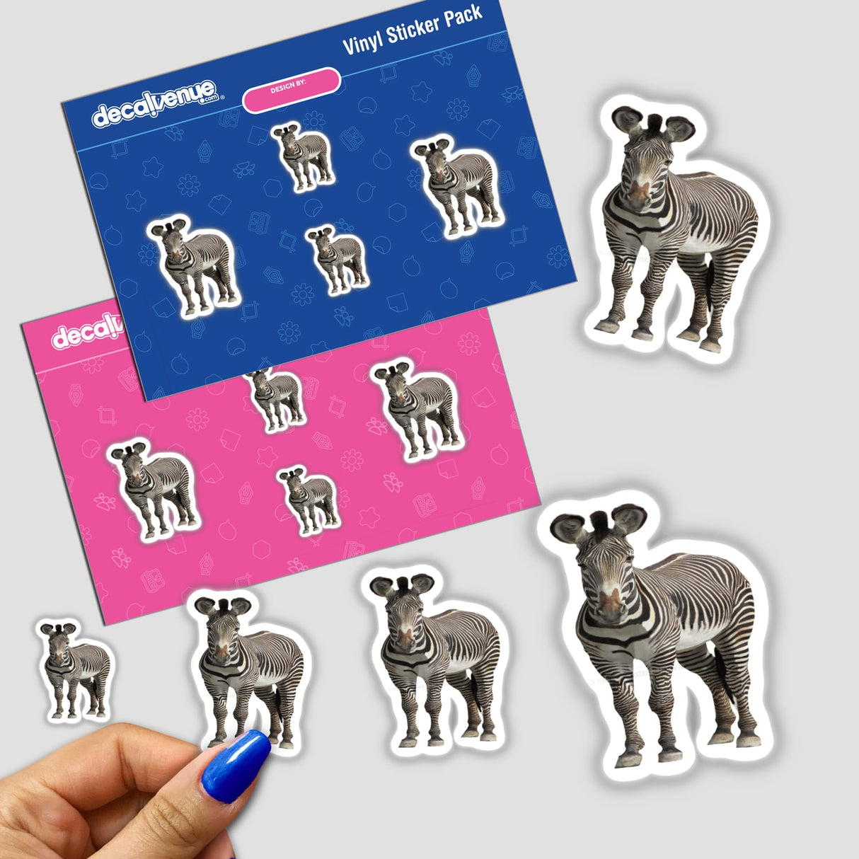 Zebra