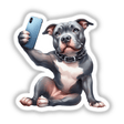 Sexy Selfie Pitbull Dog