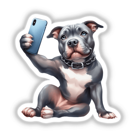 Sexy Selfie Pitbull Dog