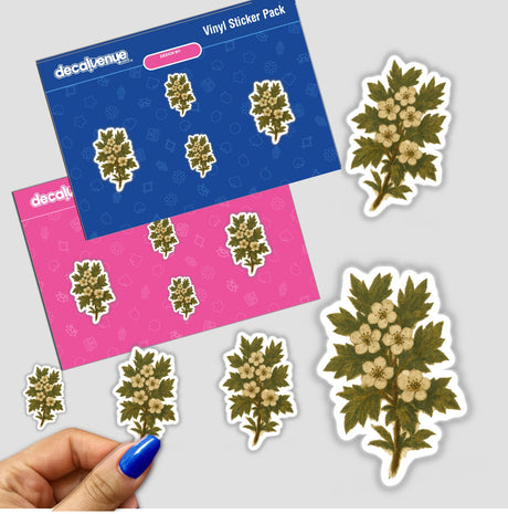 Missouri State Flower Sticker or Clipart featuring intricately designed Hawthorn Blossom Art, available as stickers or digital artwork with commercial rights, showcasing detailed floral elements.
