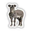 Zebra