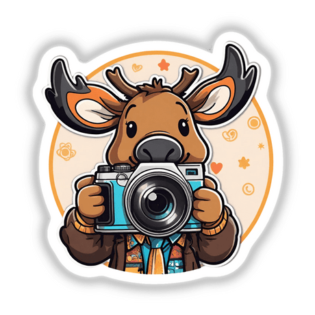 Moose photographer