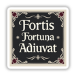 Fortis Fortuna Adiuvat Sticker featuring white text and decorative floral elements on a black background, available as digital artwork or stickers, capturing a bold Dark Academia aesthetic.