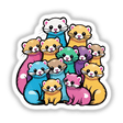 Ferret family