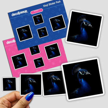 Hand holding a sticker pack featuring the Cinematic Peacock Portrait on Black Background.