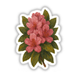 Washington State Flower Sticker or Clipart features a Coast Rhododendron design, ideal for stickers or digital artwork with commercial rights, highlighting Decal Venue's unique vinyl and digital art offerings.