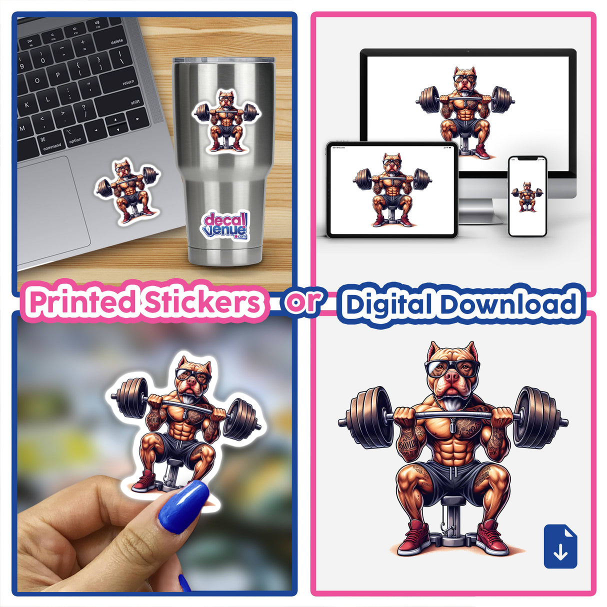 Muscular pitbull dog wearing glasses and weightlifting equipment, displayed on various digital and physical media including a laptop, smartphone, and sticker.