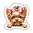 Peeking Girl Yorkie Dog