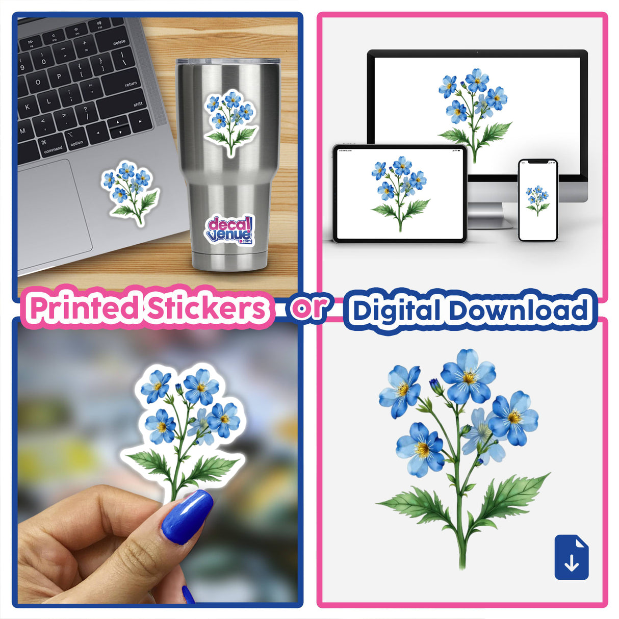 Collage featuring Alaska Forget-Me-Not Botanical Clipart as laptop stickers and digital artwork, close-ups of stickers on a cup and fingernail, highlighting unique blue flower designs.