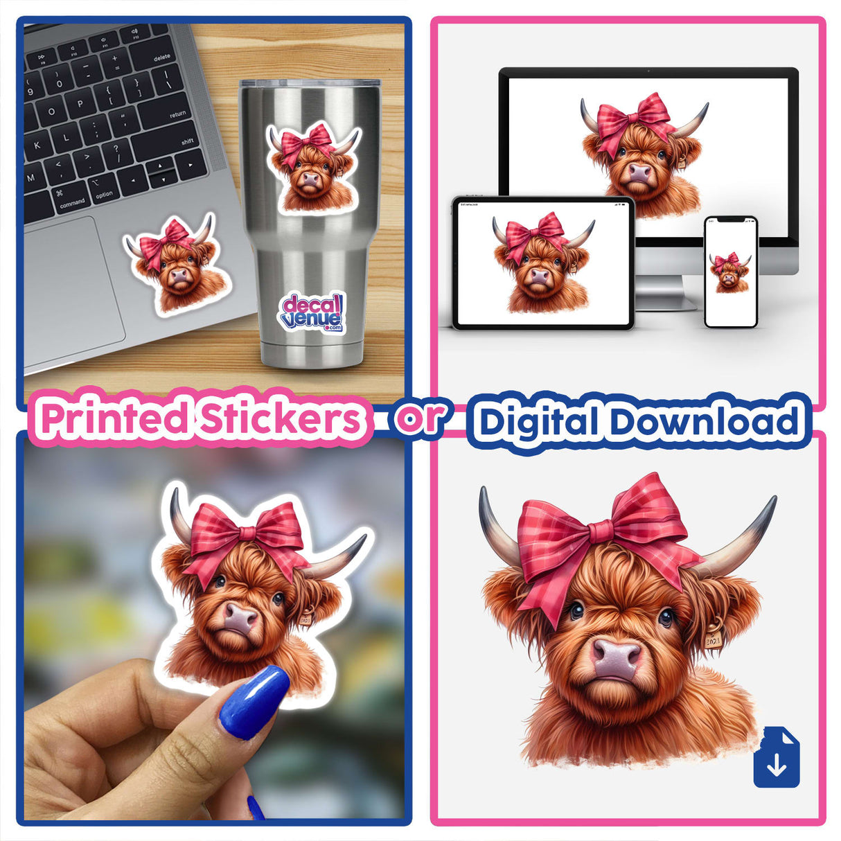 Highland Cow with Big Pink Bow