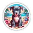 Pitbull Puppy Dog at the Beach