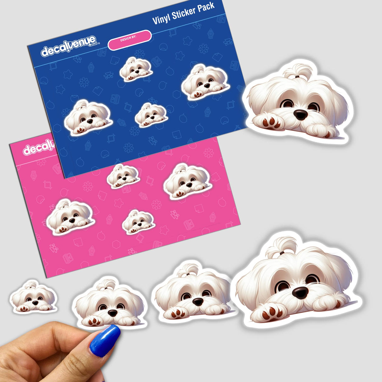 Cute Resting Maltese Dog