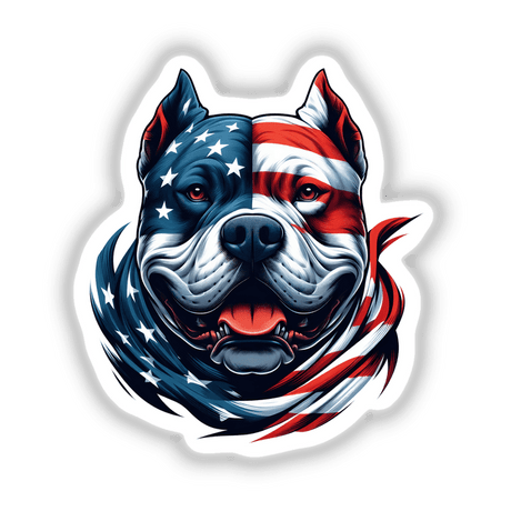 American Bully Pitbull Dog