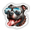 Biker Face Pitbull Bully Dog