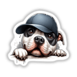 Eye Patch Peeking Pitbull Dog