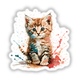 Splashing kitten
