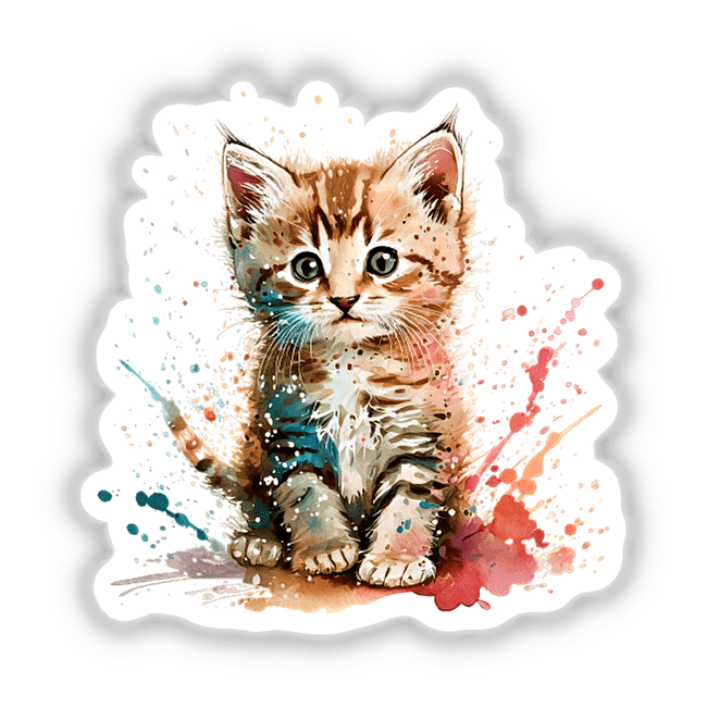 Splashing kitten