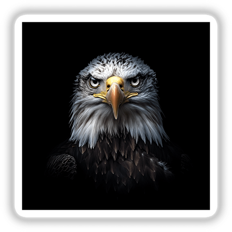 Cinematic Bald Eagle Portrait on Black Background: a close-up of a bald eagle with a yellow beak and piercing eye, available as stickers or digital artwork.