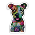 Colorful Smiling Pitbull