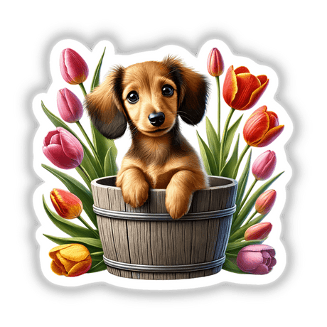 Dachshund Peeking Out of Flower Pot