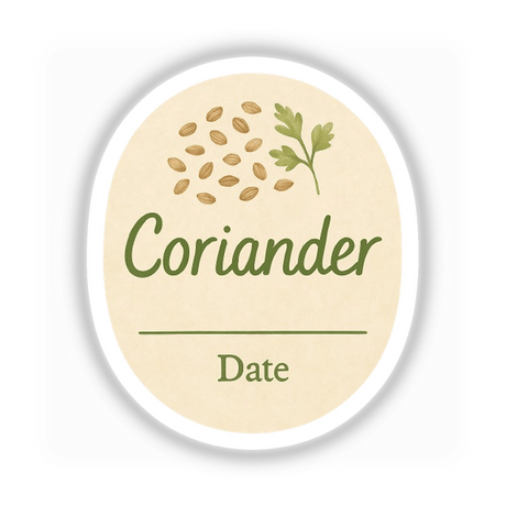 Coriander Spice Jar Label – Printable Summer Cottagecore Sticker features a white circle with green handwritten text and coriander seeds, perfect for pantry organization. Transparent PNG with commercial rights.