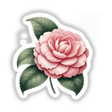 Exquisite Camellia Botanical Clipart - Alabama State Flower | Commercial Use & Sticker Option featuring a detailed close-up of a pink flower with green leaves.