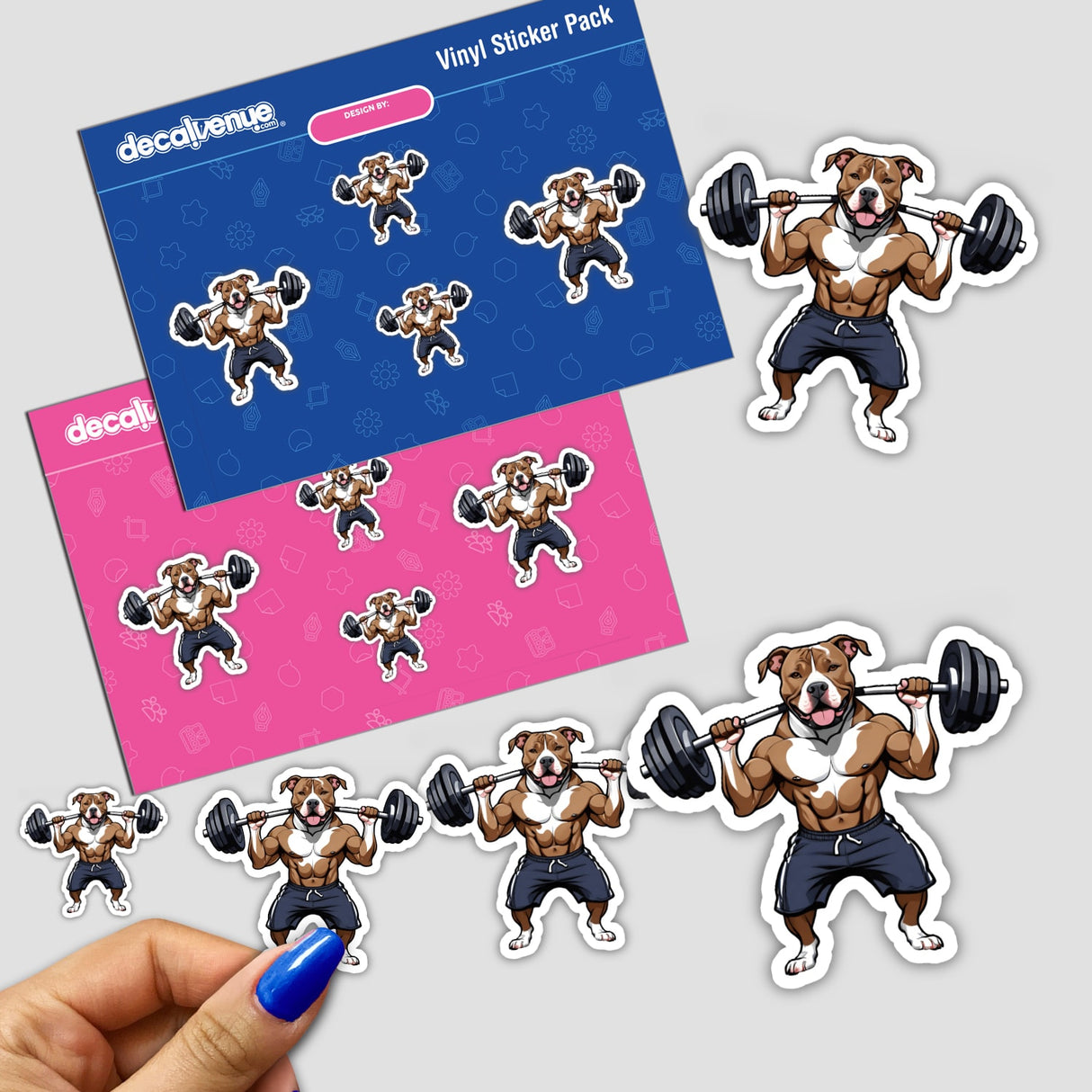 Pitbull Weightlifting