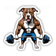Pitbull RDL Weightlifting Workout
