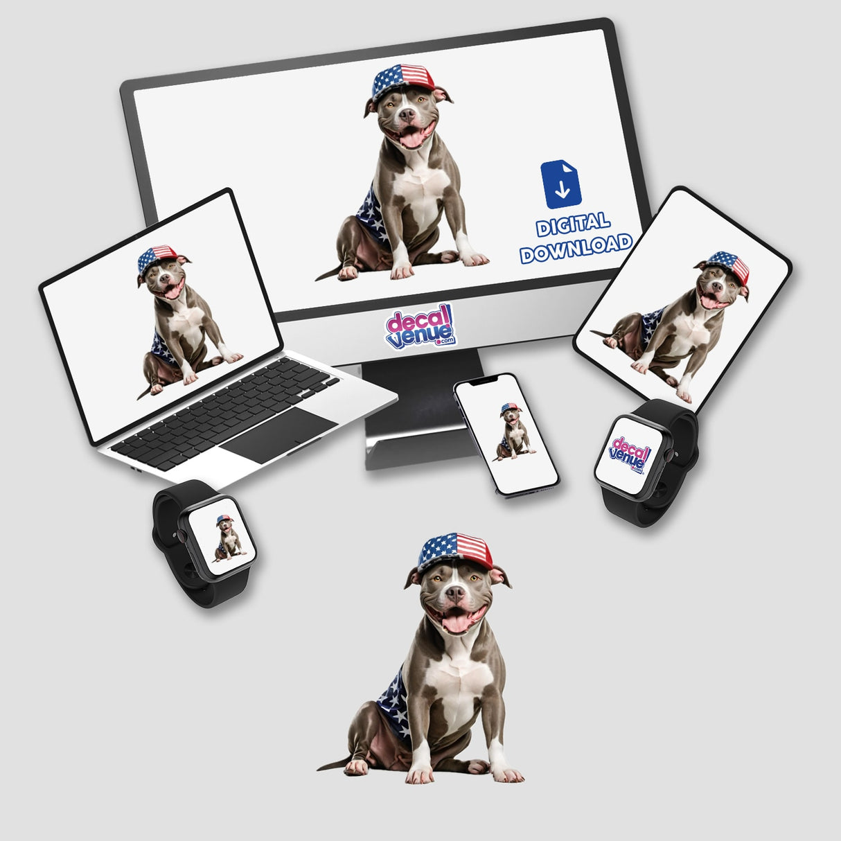 American Flag Pitbull