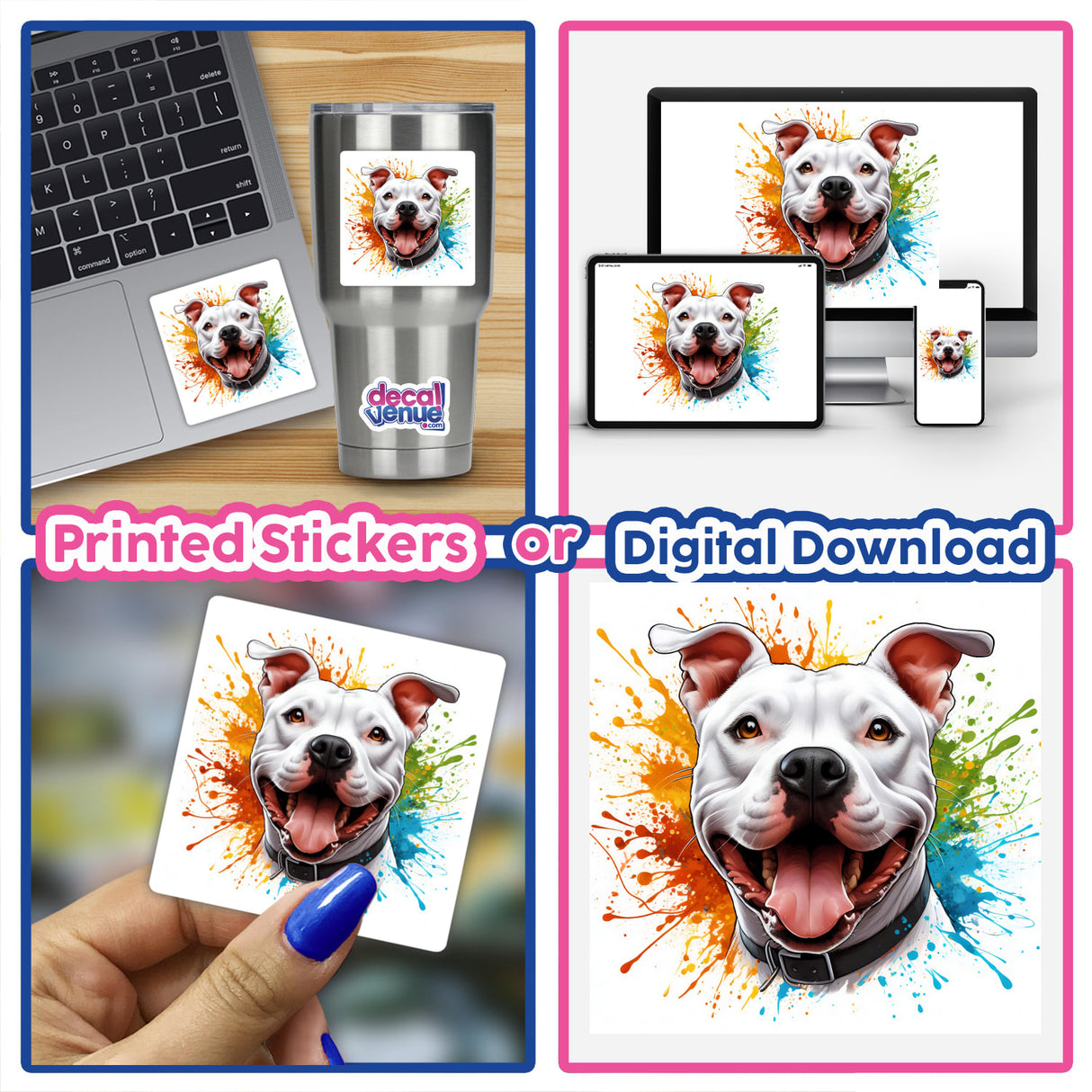Splash of Color White Pitbull