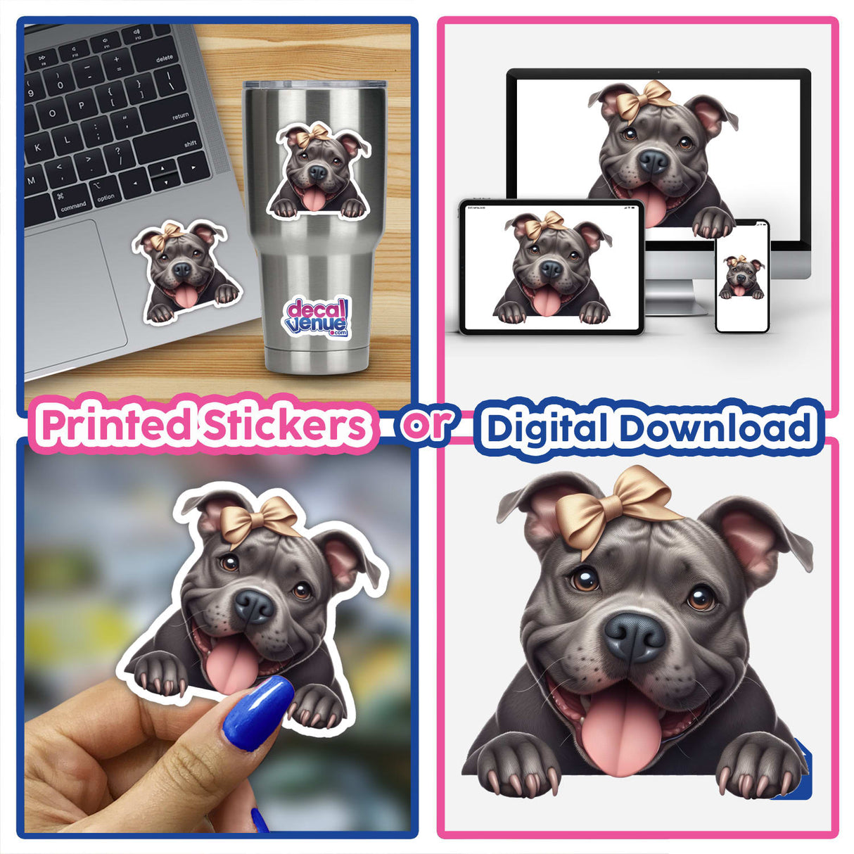 Happy Peeking Pitbull Gold Bow