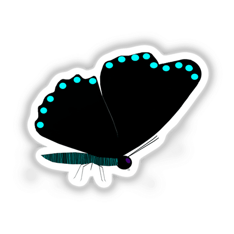 Black Butterfly With Cyan Stripes And Spots