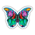 Colorful Butterfly 6