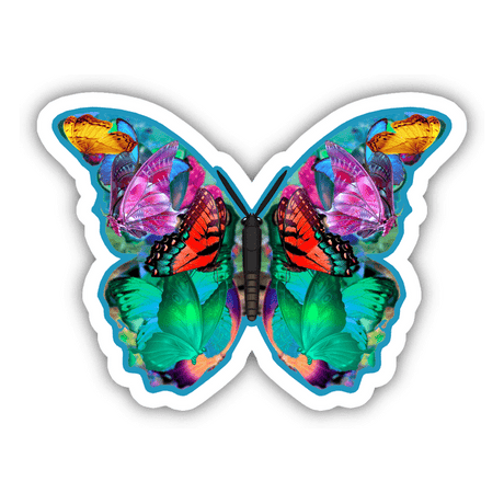 Colorful Butterfly 6