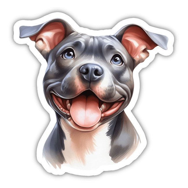 Smiling Pretty for Pictures Pitbull