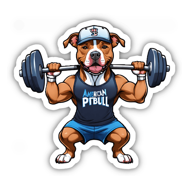 American Pitbull Lifting Weights