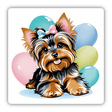 Cute Girl Yorkie w/ Balloons